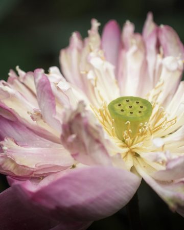 000-Karner-Medizin-010